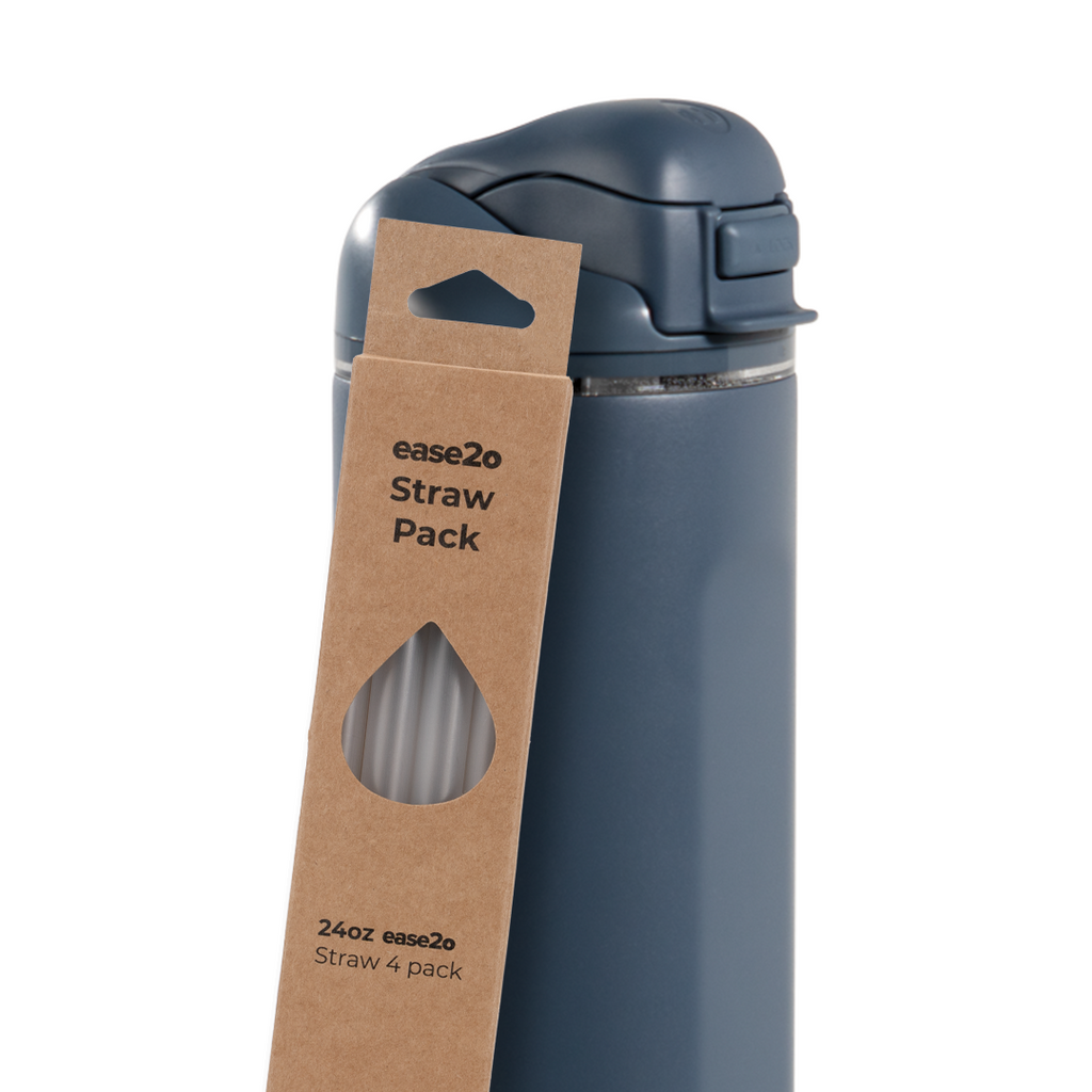 Ease2o Straws 4 Pack 24oz - Everyday Ready