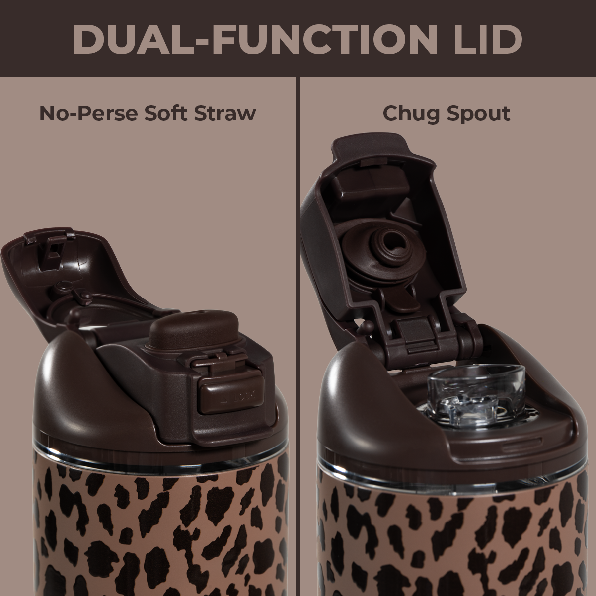 Brown Leopard - Water for Routines