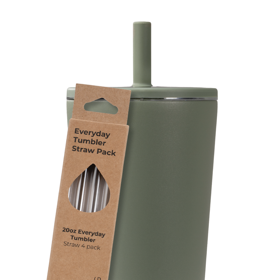 Tumbler Straws 4 Pack 20oz - Easy Water Daily