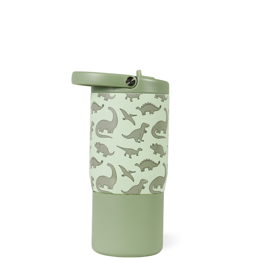 Dinosaur - Jug for Life