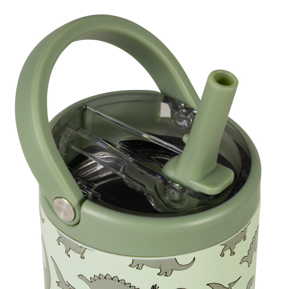 Dinosaur - Jug for Life
