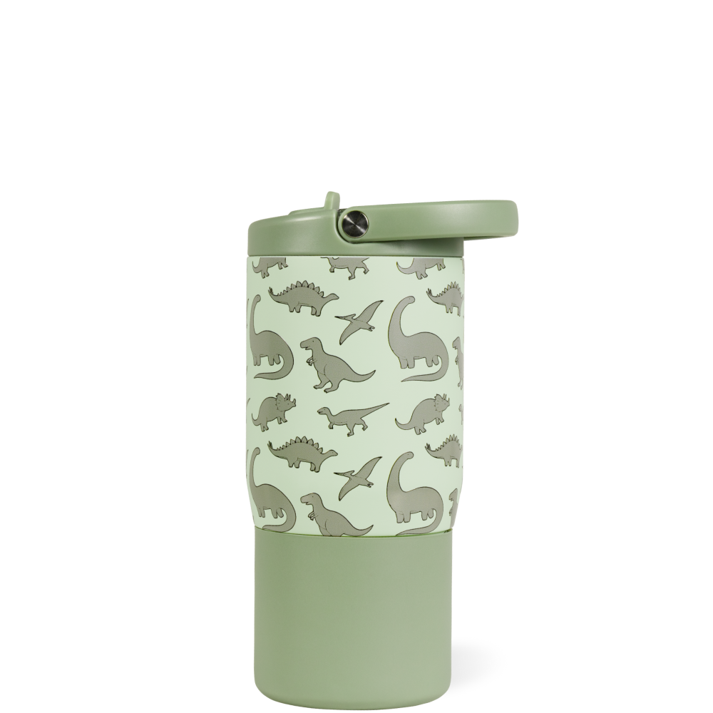 Dinosaur - Jug for Life