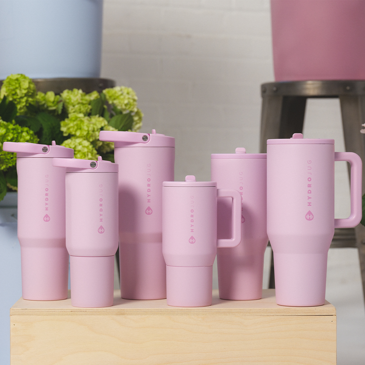 Sweet Pea - Your Daily Jug