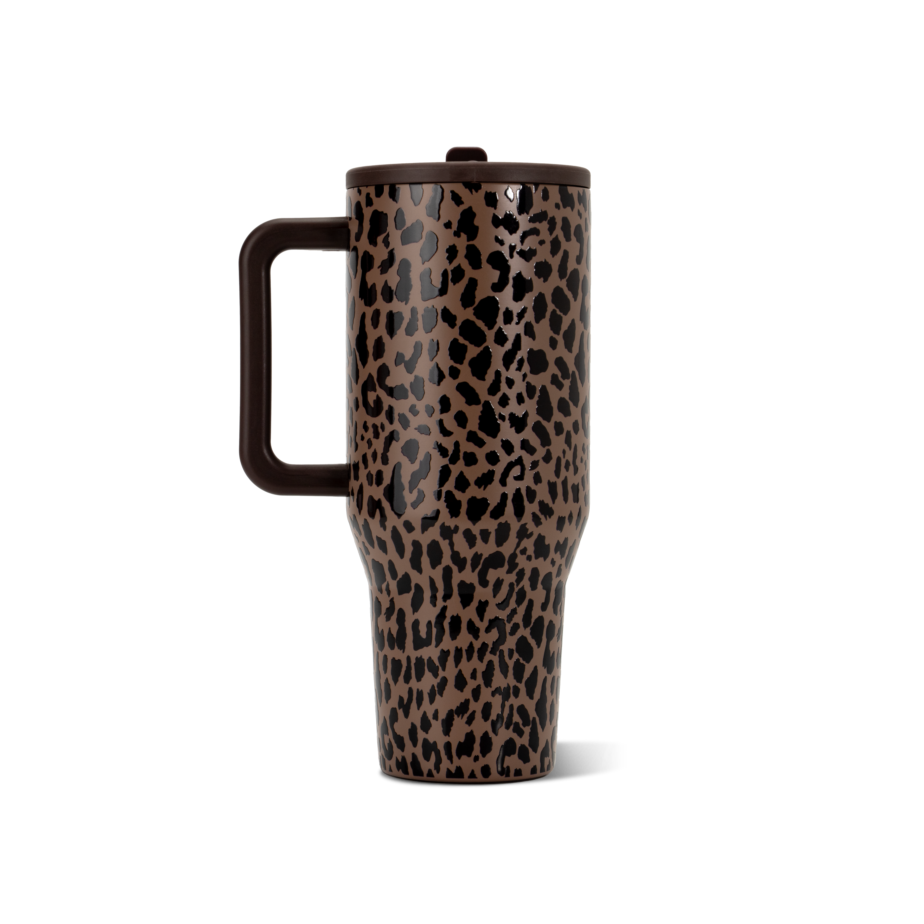 Brown Leopard - Water in Hand