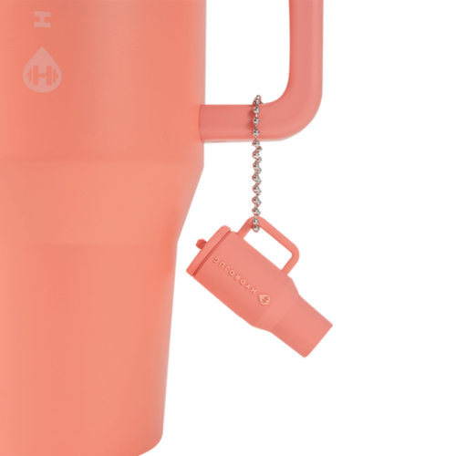 Traveler Keychain - Water Companion