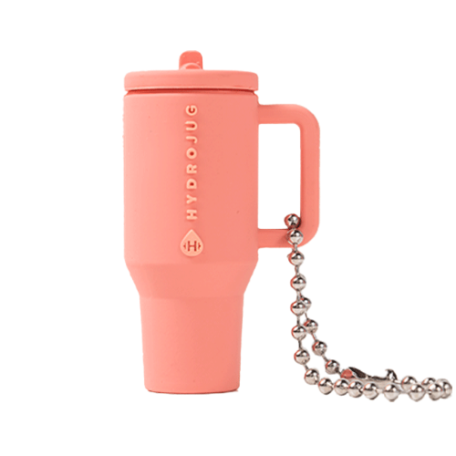 Traveler Keychain - Water Companion